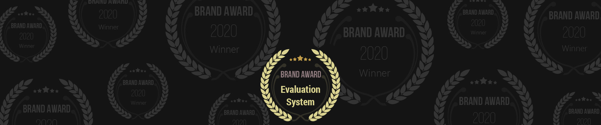 Evaluation System