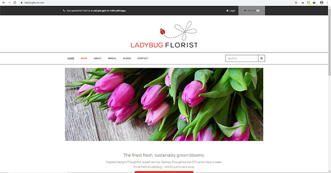 Ladybug Florist